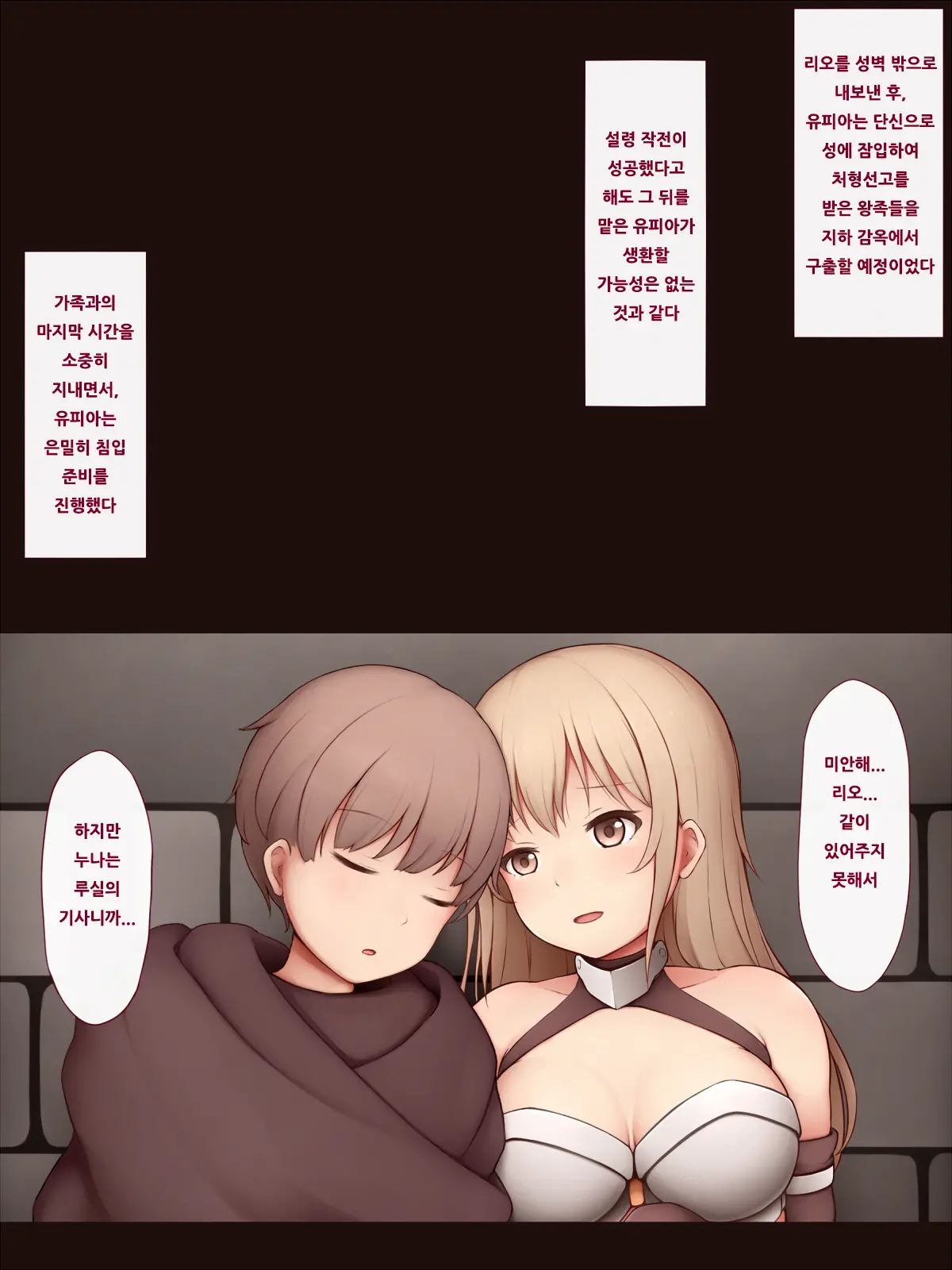 Shoujo Kishi Haiboku 3 ~Nikutai-Ka Shokei~